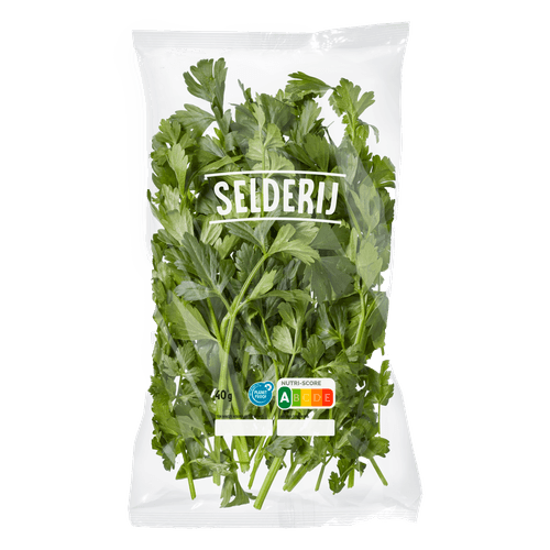 Foto van Selderij op witte achtergrond
