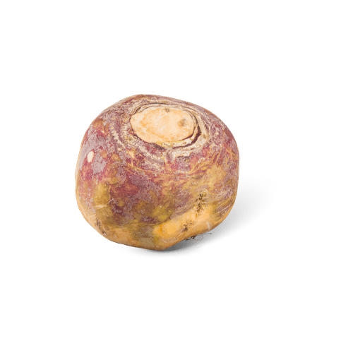 Foto van Koolraap op witte achtergrond