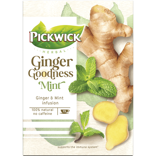 Foto van Pickwick Ginger goodness thee mint 15 zakjes op witte achtergrond