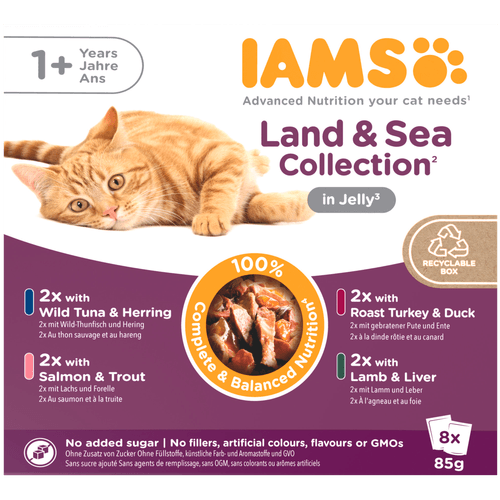 Foto van Iams Kattenvoer adult land & sea jelly 8 st. op witte achtergrond
