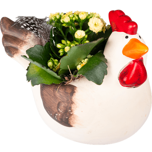 Foto van DekaMarkt Arrangement keramiek kip op witte achtergrond