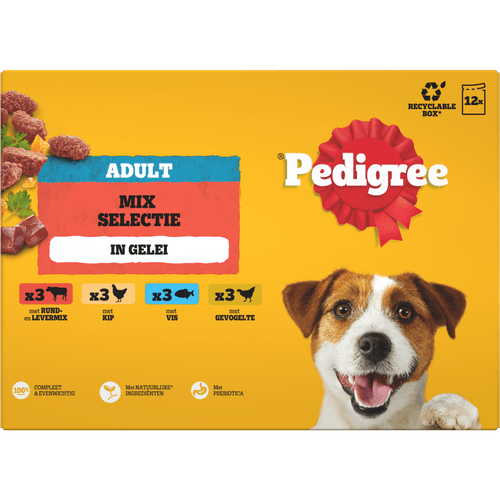 Foto van Pedigree Hondenvoer adult fav. pouch 12st op witte achtergrond