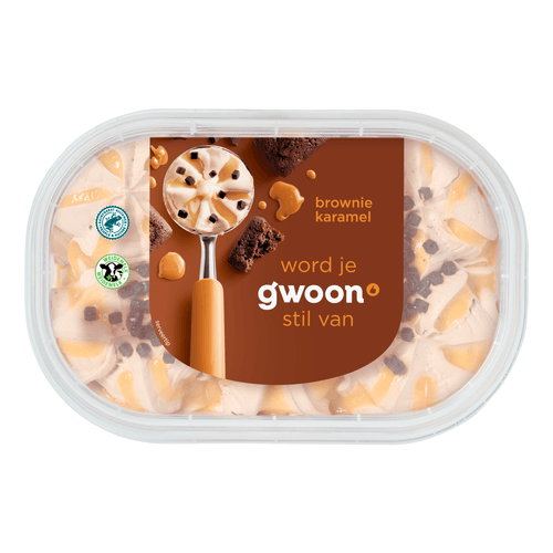 Foto van G'woon Roomijs brownie karamel op witte achtergrond