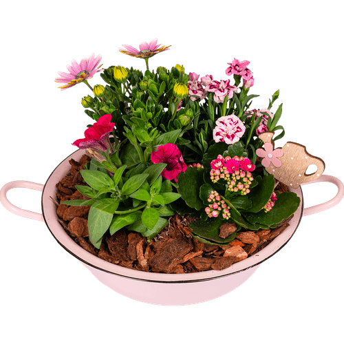 Foto van DekaMarkt Arr. voorjaarsschaal op witte achtergrond