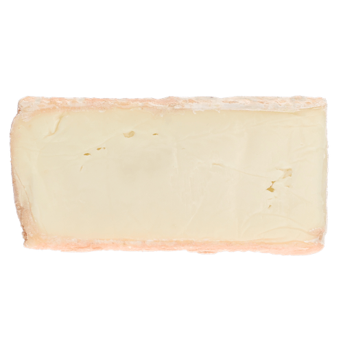 Foto van Taleggio dop op witte achtergrond