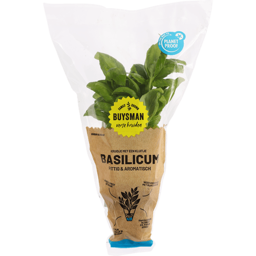 Foto van Buijsman Basilicum met kluit op witte achtergrond