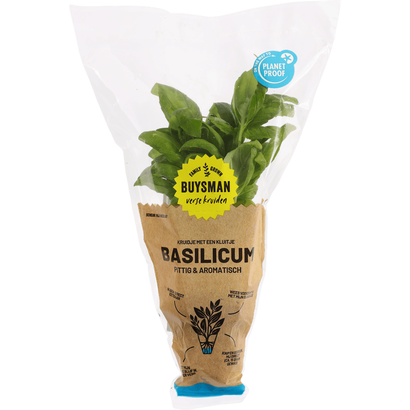 Buijsman Basilicum met kluit