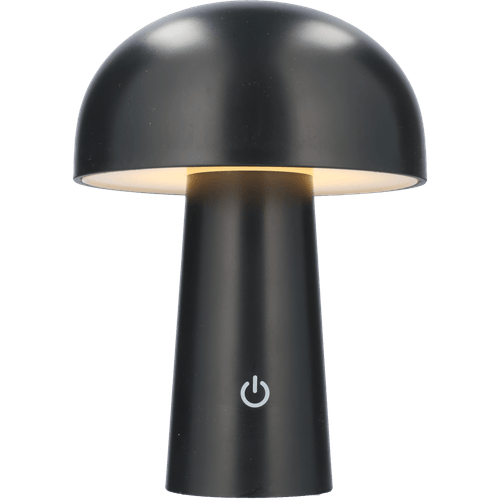 Foto van Paddenstoel tafellamp 2 kleuren op witte achtergrond