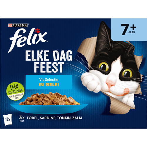 Foto van Felix Kattenvoer elke dag feest senior vis op witte achtergrond