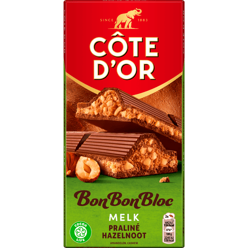 Foto van Côte d'Or Bonbonbloc praline melk noten op witte achtergrond
