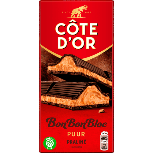 Foto van Côte d'Or Bonbonbloc praline puur op witte achtergrond