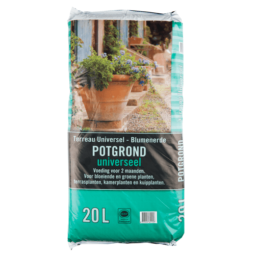 Foto van Potgrond op witte achtergrond