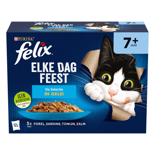 Foto van Felix Kattenvoer elke dag feest senior vis op witte achtergrond