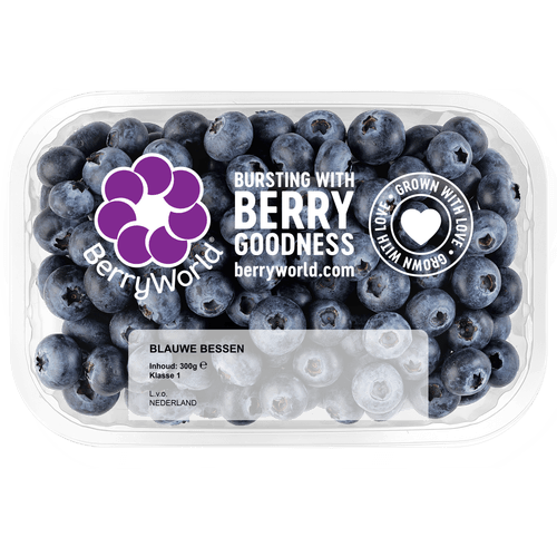 Foto van Blauwe bessen schaal op witte achtergrond