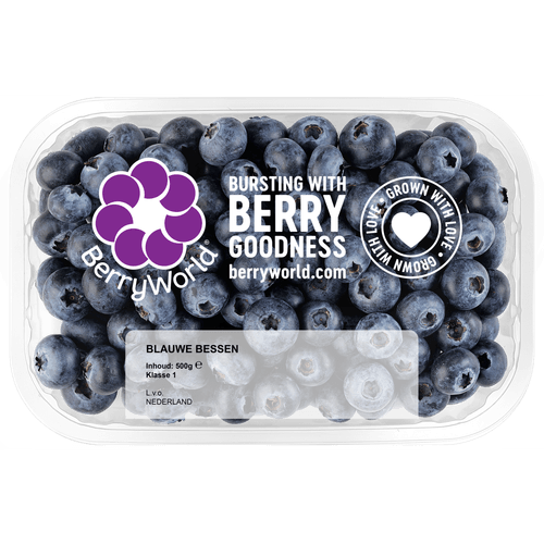 Foto van Blauwe bessen bak op witte achtergrond