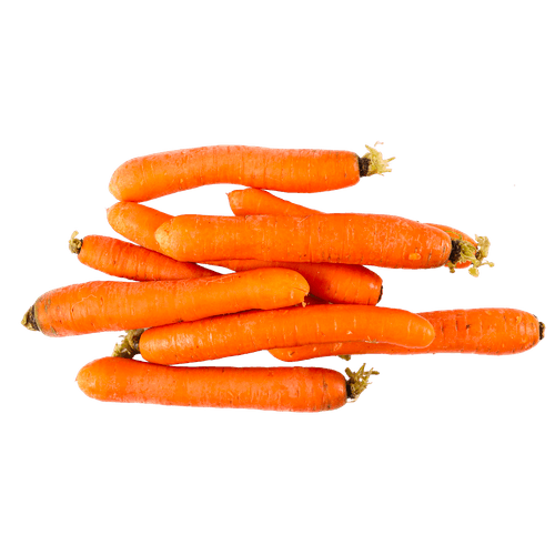 Foto van Bio+ Biologische winterpeen op witte achtergrond