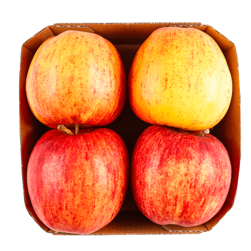 Foto van Bio Royal gala op witte achtergrond