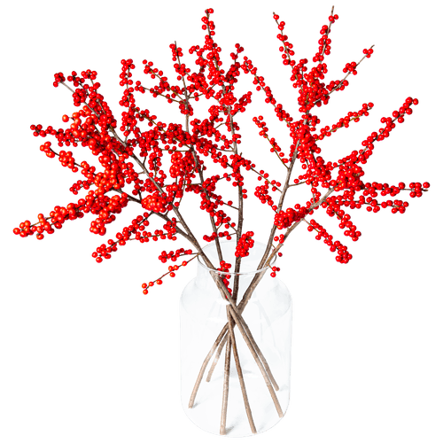 Foto van Ilex tak groot op witte achtergrond