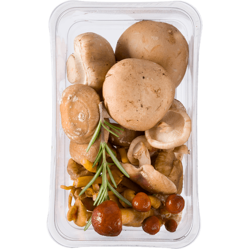 Foto van Bospaddenstoelen mix op witte achtergrond