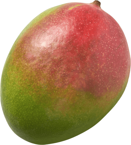 Foto van Mango op witte achtergrond