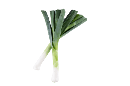 Foto van Prei op witte achtergrond