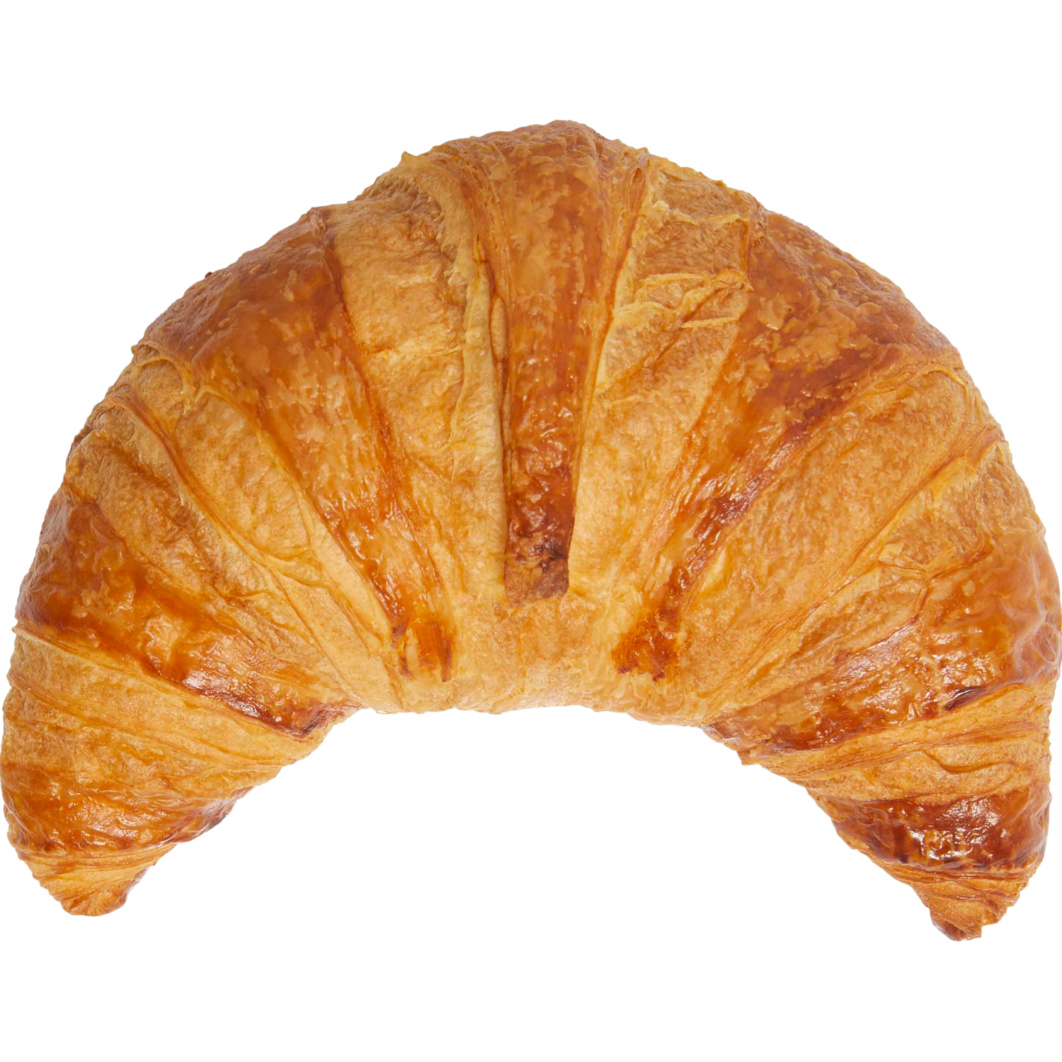Vers afbak Roomboter croissant groot