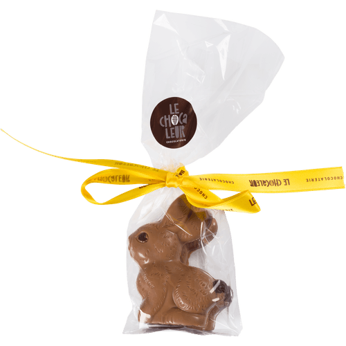 Foto van Le Chocaleur Zittend konijntje 2 st. op witte achtergrond