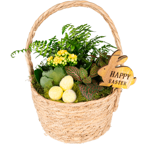 Foto van Arrangement hengselmand pasen op witte achtergrond
