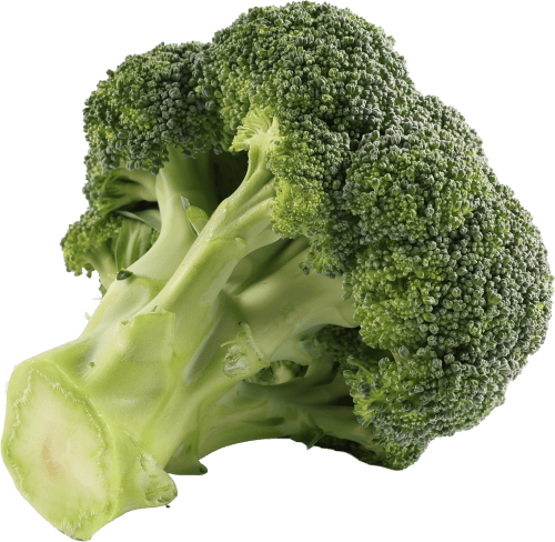 Foto van Broccoli op witte achtergrond