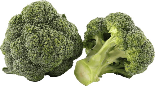 Foto van Broccoli op witte achtergrond