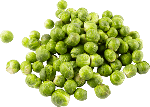 Foto van Hollandse Kleine spruitjes op witte achtergrond