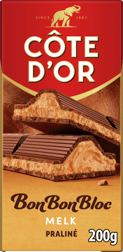 Foto van Côte d'Or Bon bon bloc praline melk op witte achtergrond