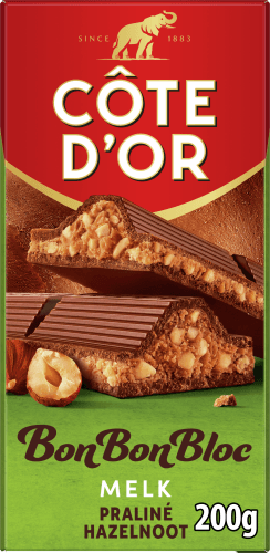 Côte d'Or BonBonBloc Praline Noisette
