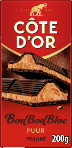 Foto van Côte d'Or Bonbonbloc praline puur op witte achtergrond