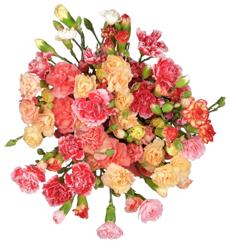 Bloemen Trosanjer 10 stelen