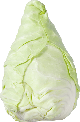Foto van DekaVers Bio spitskool op witte achtergrond