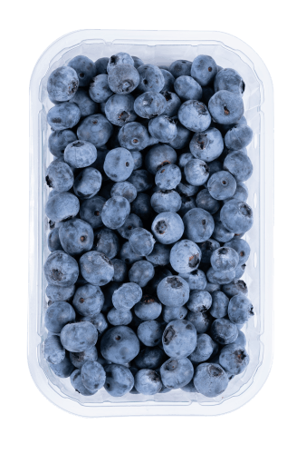 Foto van Blauwe bessen schaal op witte achtergrond