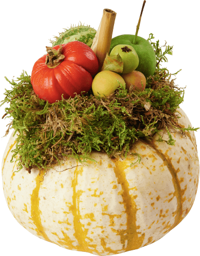 Pompoen arrangement
