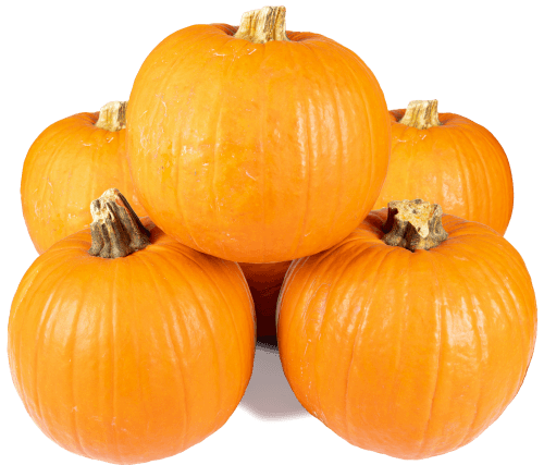 Foto van Halloween pompoen op witte achtergrond