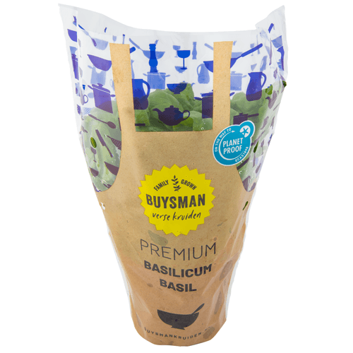 Foto van Basilicum grote pot op witte achtergrond