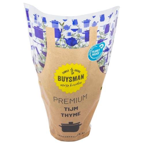 Foto van Tijm grote pot op witte achtergrond