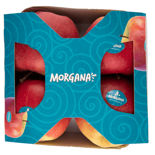 Foto van Appelen morgana op witte achtergrond