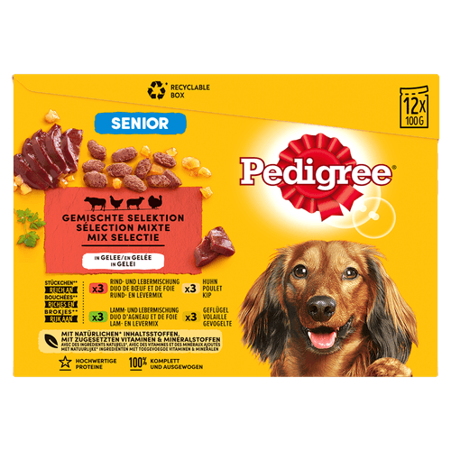 Foto van Pedigree Hondenvoer senior in gelei 12 stuks op witte achtergrond