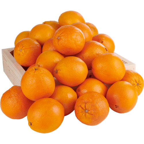 Foto van Handsinaasappelen op witte achtergrond