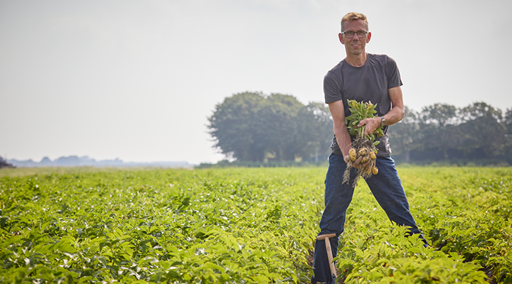 Online almere web 720x4005