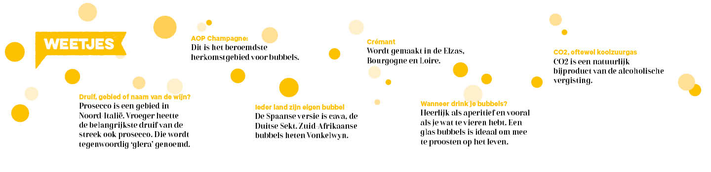 Weetjes over bubbels