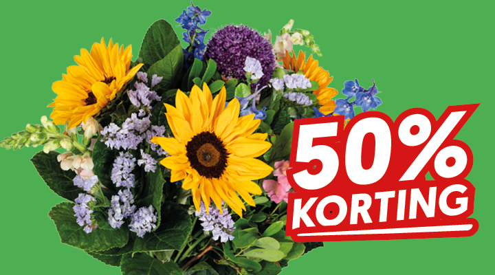 Online Den helder web2