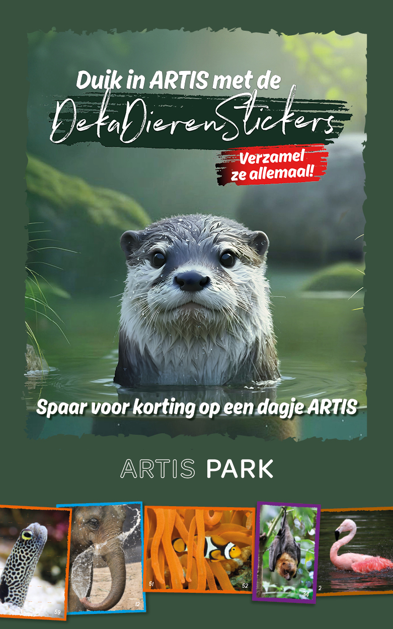 Online Web Artis15