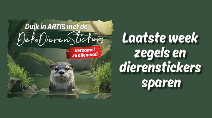 Deka Web banners Week 13 720x4003