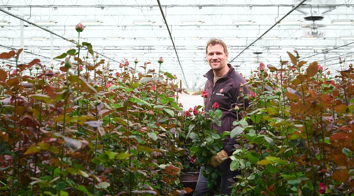 Daniel_Rozen_Marjoland_720_400